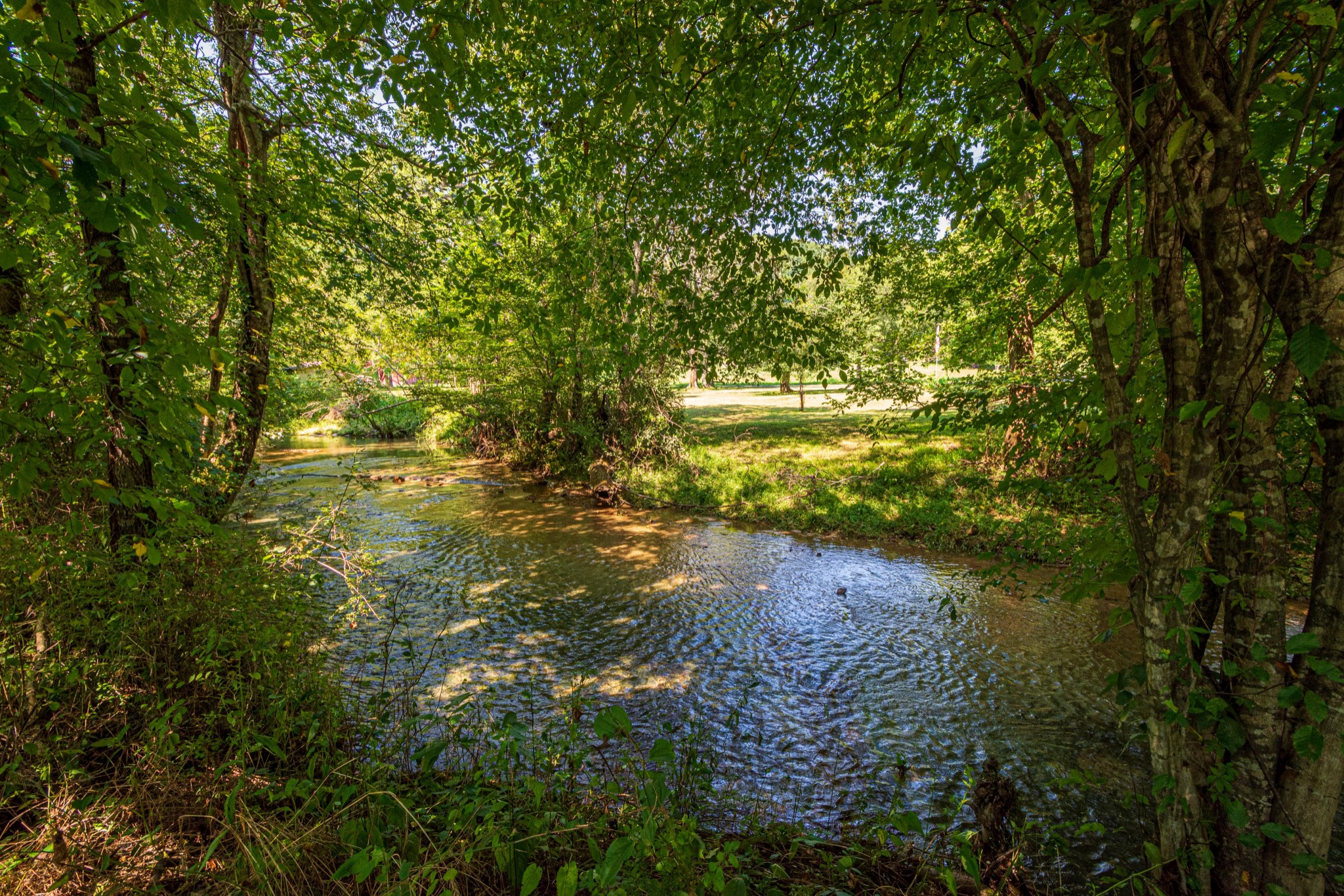 2842 Dog Branch Road Prospect, TN 38477 - Photo 45 of 50 a view of a lake with a yard