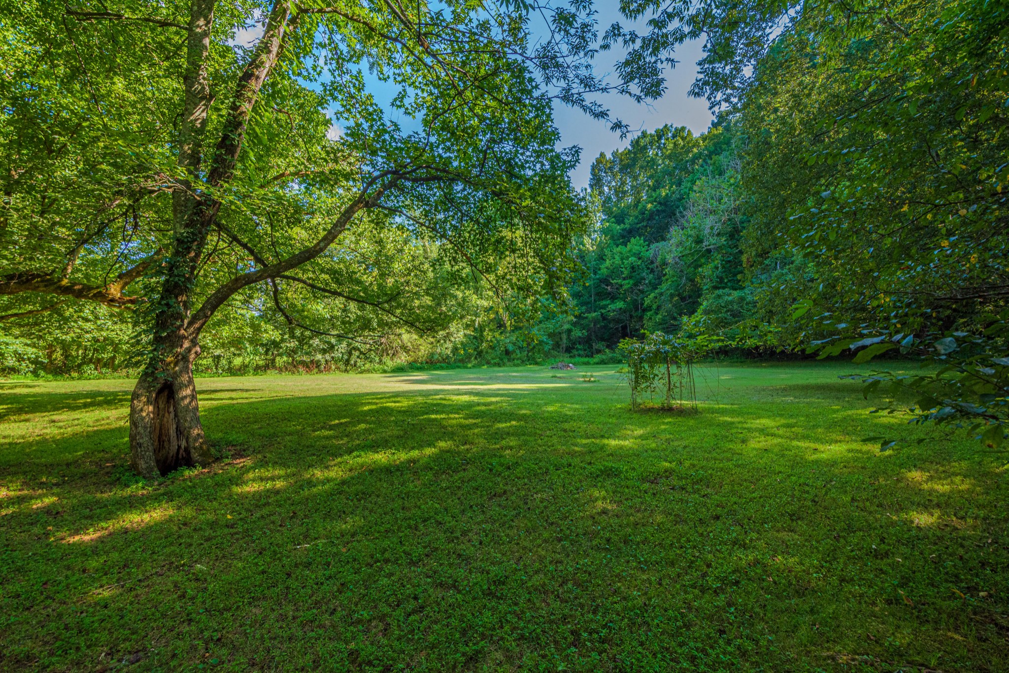 2842 Dog Branch Road Prospect, TN 38477 - Photo 46 of 50