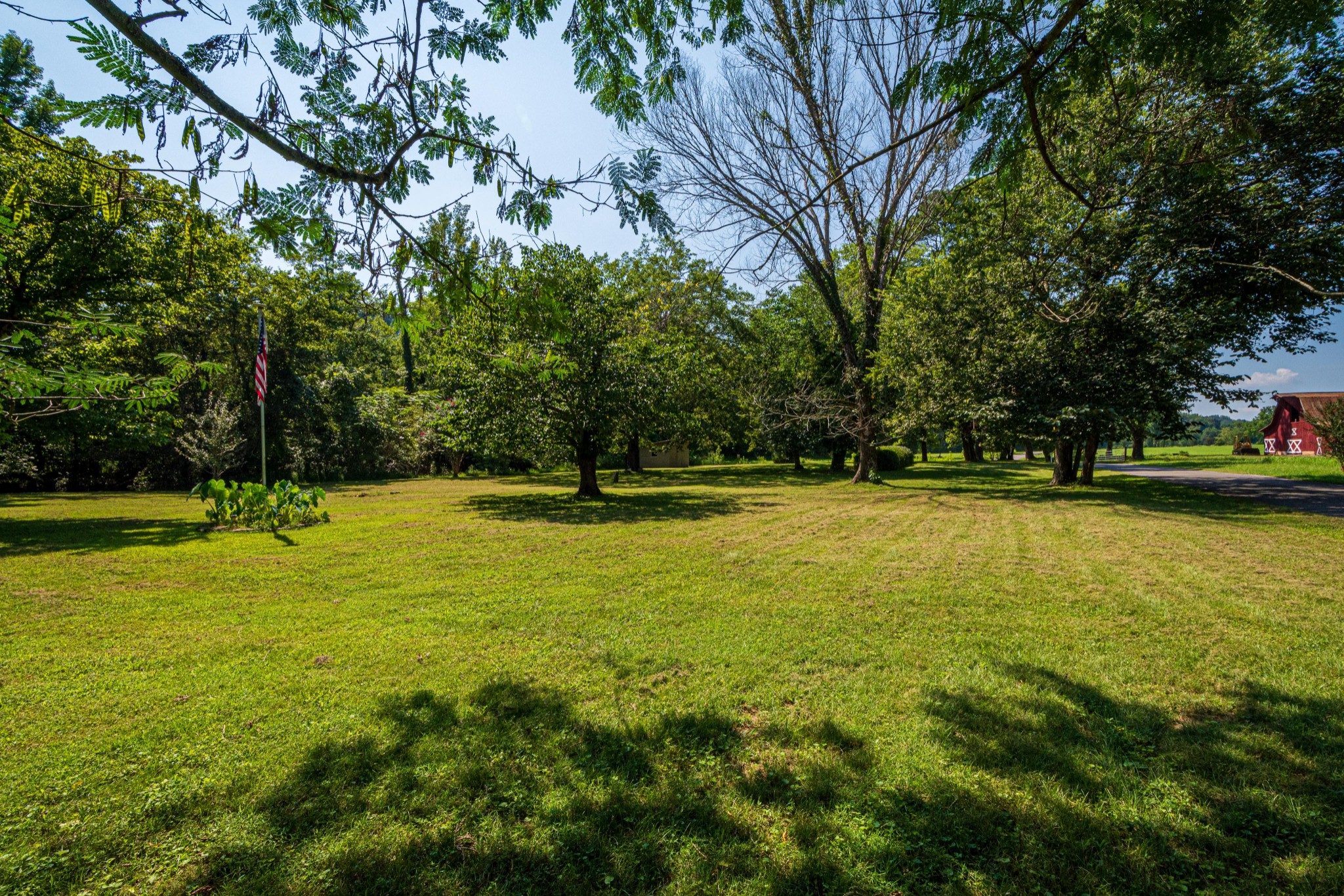 2842 Dog Branch Road Prospect, TN 38477 - Photo 48 of 50 a view of a swimming pool with a yard