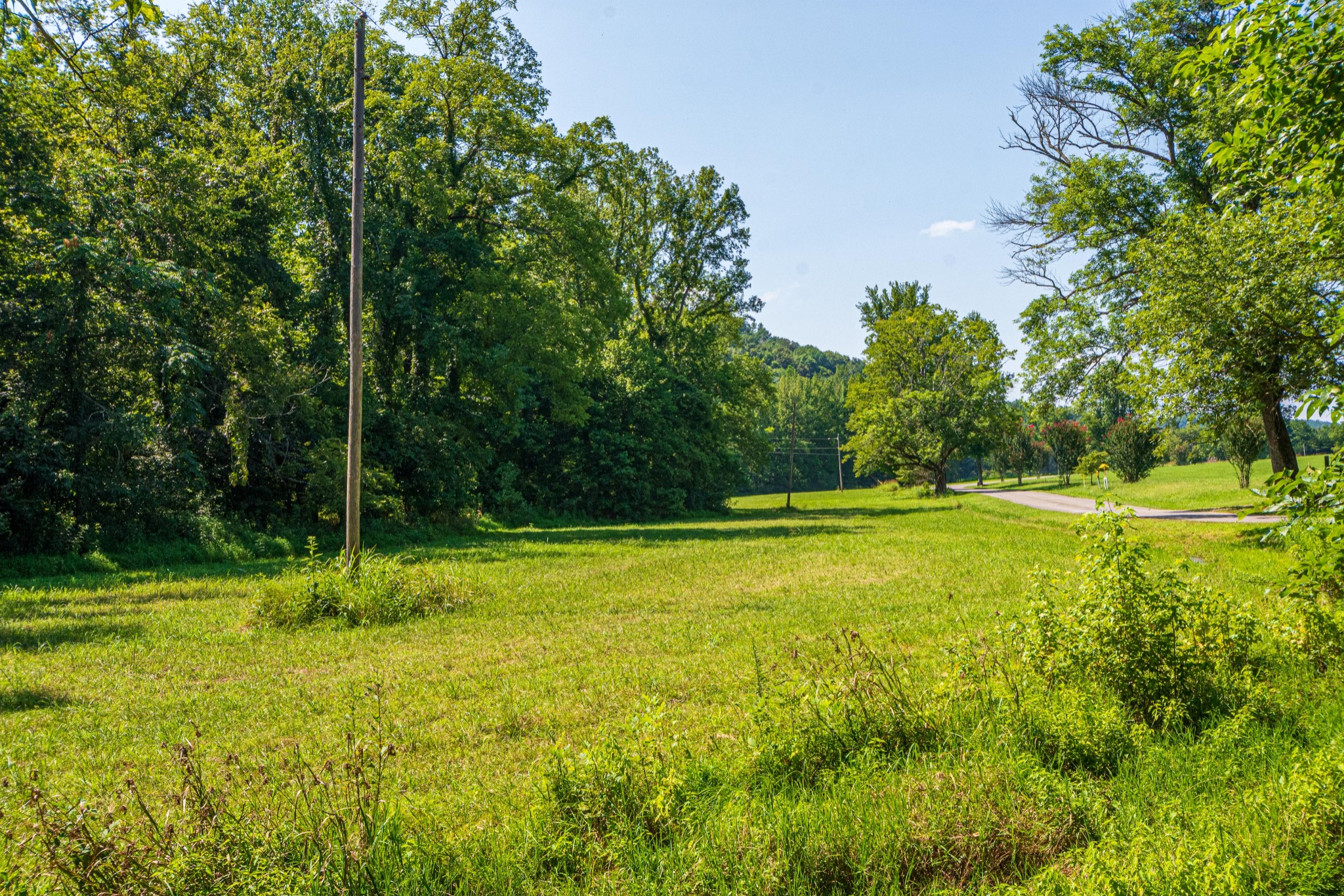 2842 Dog Branch Road Prospect, TN 38477 - Photo 49 of 50 a view of a swimming pool with a yard