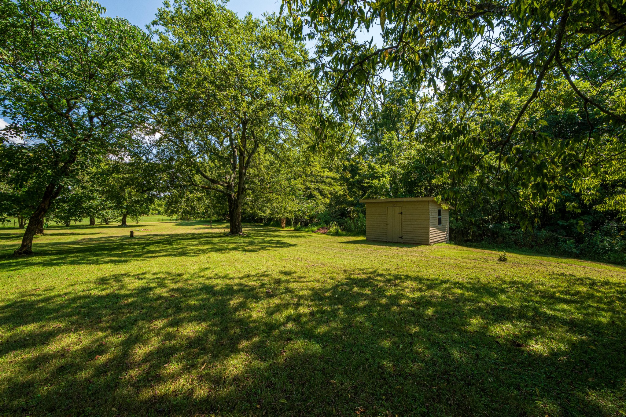 2842 Dog Branch Road Prospect, TN 38477 - Photo 50 of 50 a backyard of a house with lots of green space