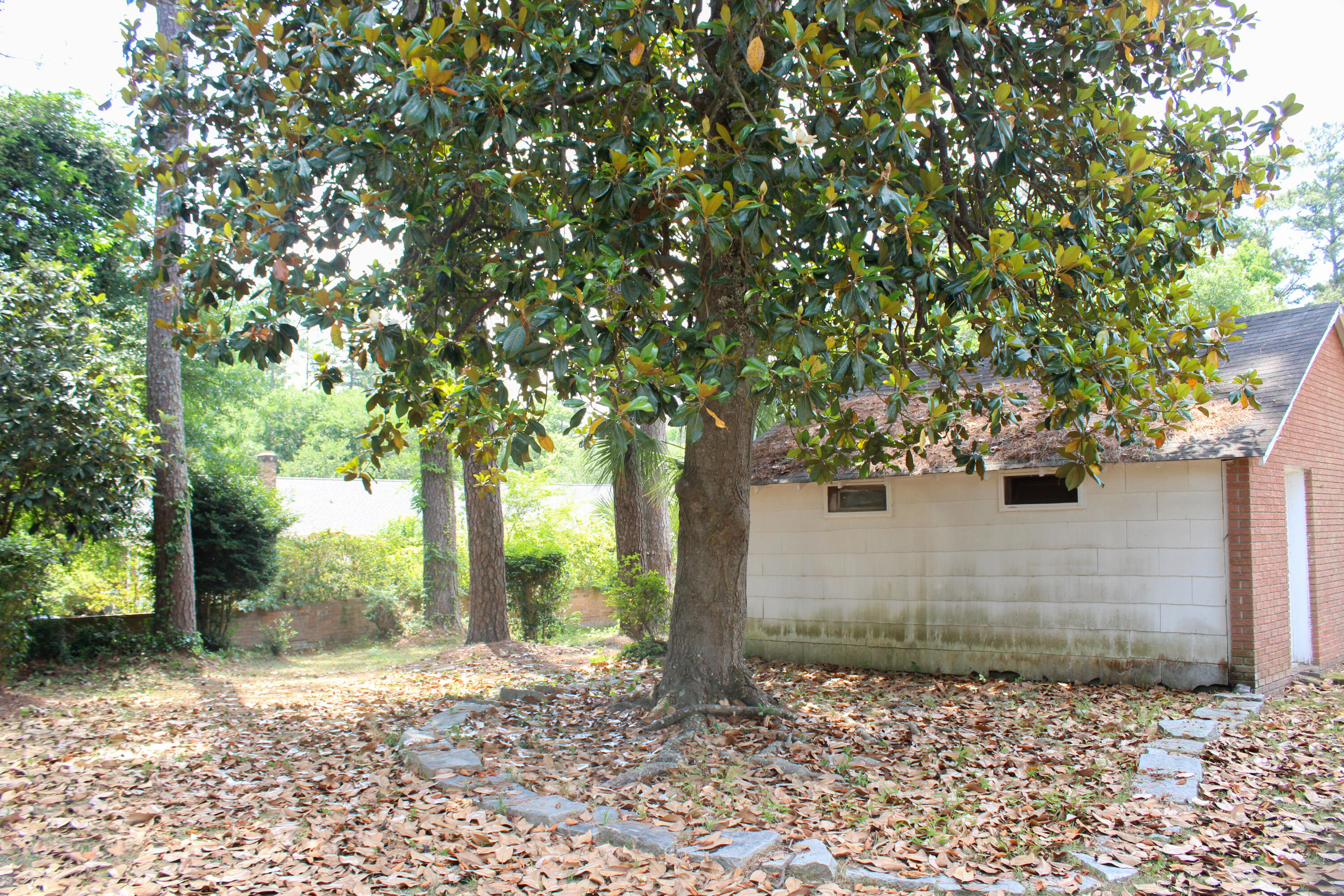 2203 State Rd S-38-211 Orangeburg, SC 29115 - Photo 8 of 18 IMG_8108