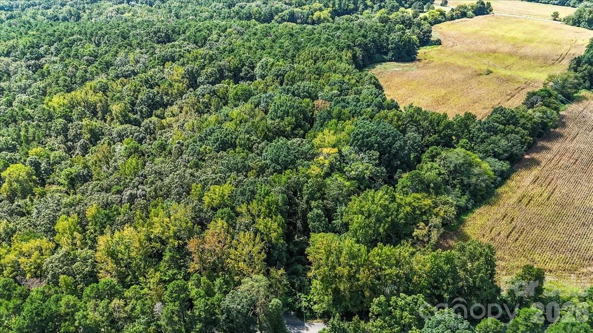 1715 Union Road Matthews, NC 28104 - Photo 3 of 41 a view of a yard in a forest