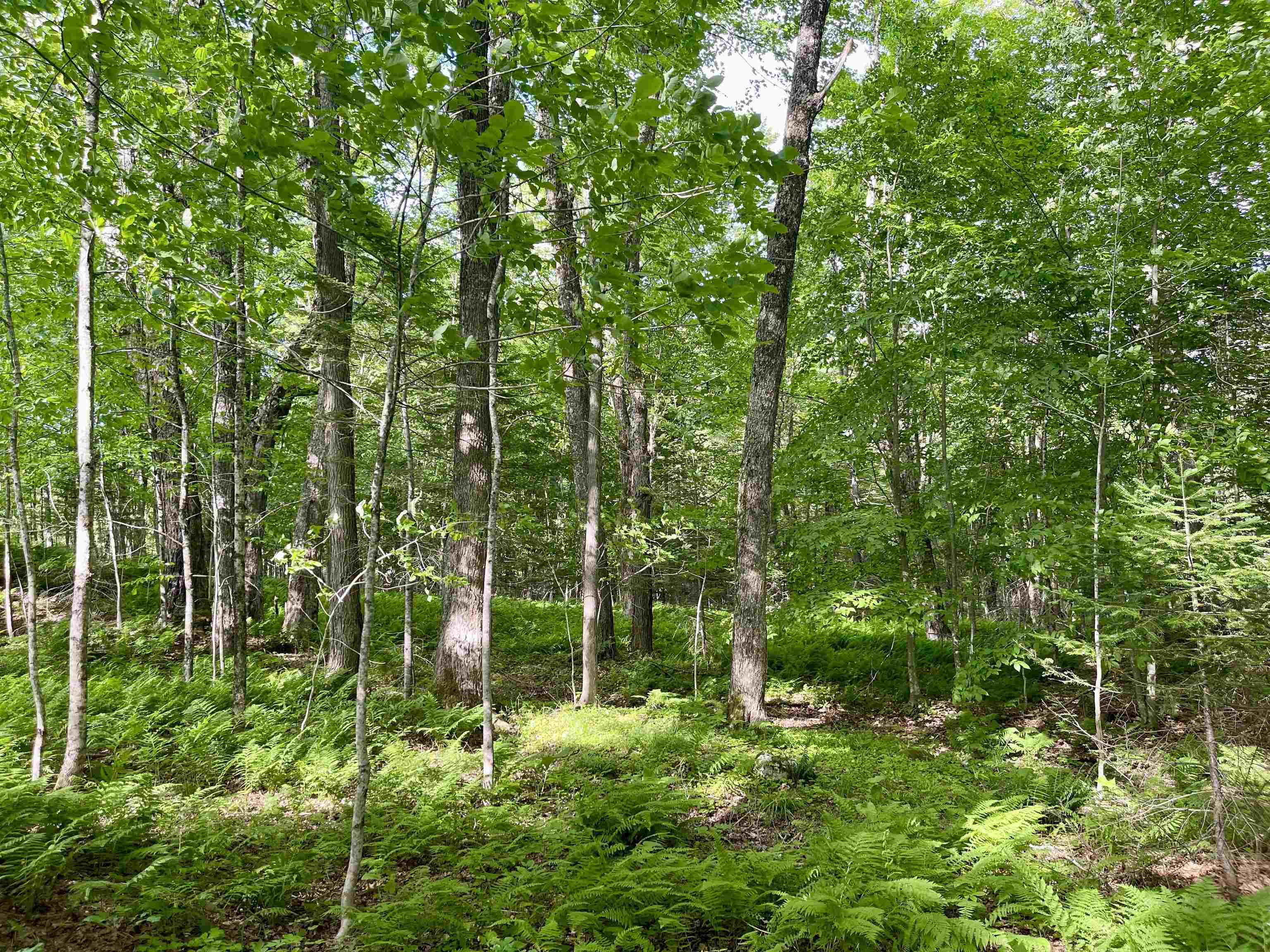0 Old Farm Road West Burke, VT 05871 - Photo 14 of 14