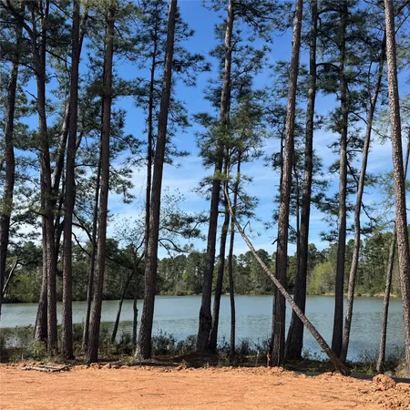 $1,995 | 6273 Alder Crk Drive, Montgomery, TX 77316