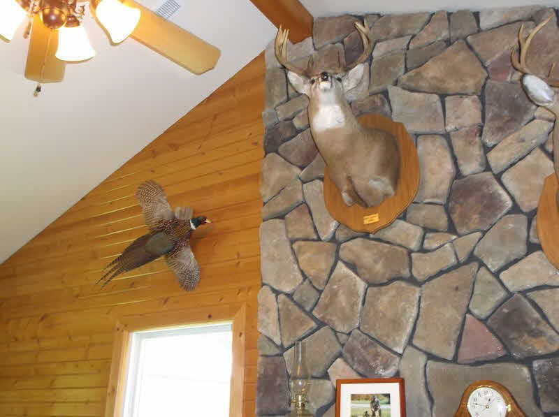 Rr Rock Creek Road Elizabethtown, IL 62931 - Photo 30 of 36 Gallery Image 30