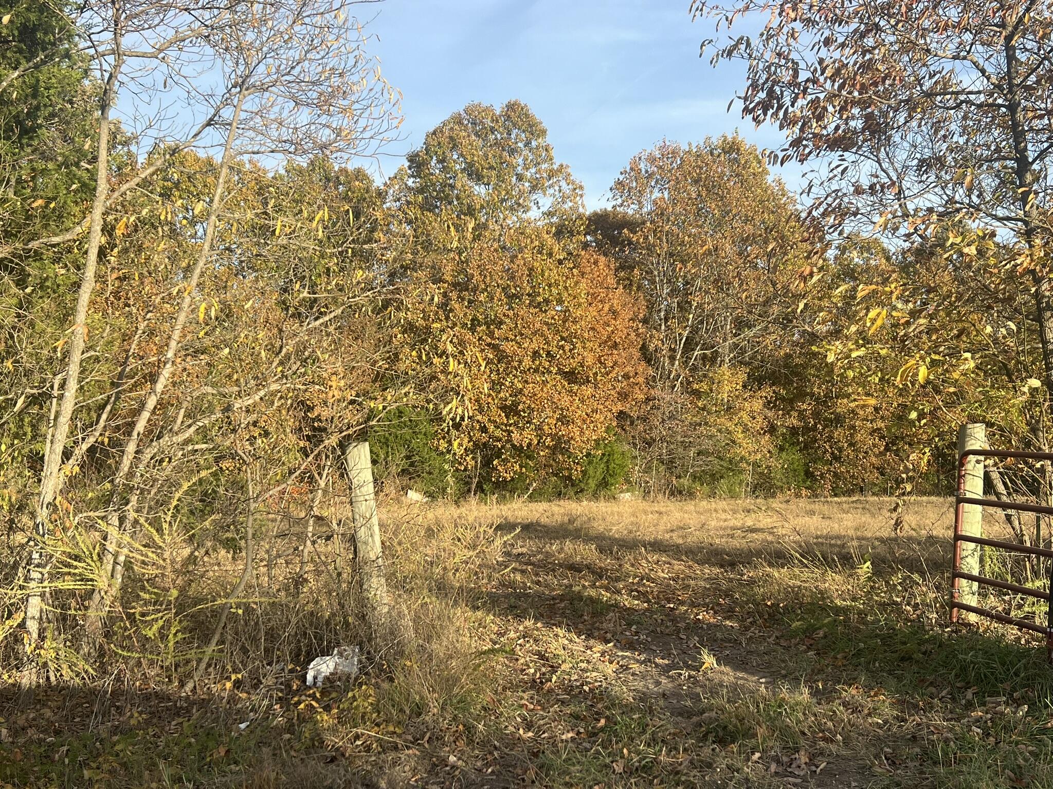 0 King Road Mountain Grove, MO 65711 - Photo 12 of 26 11