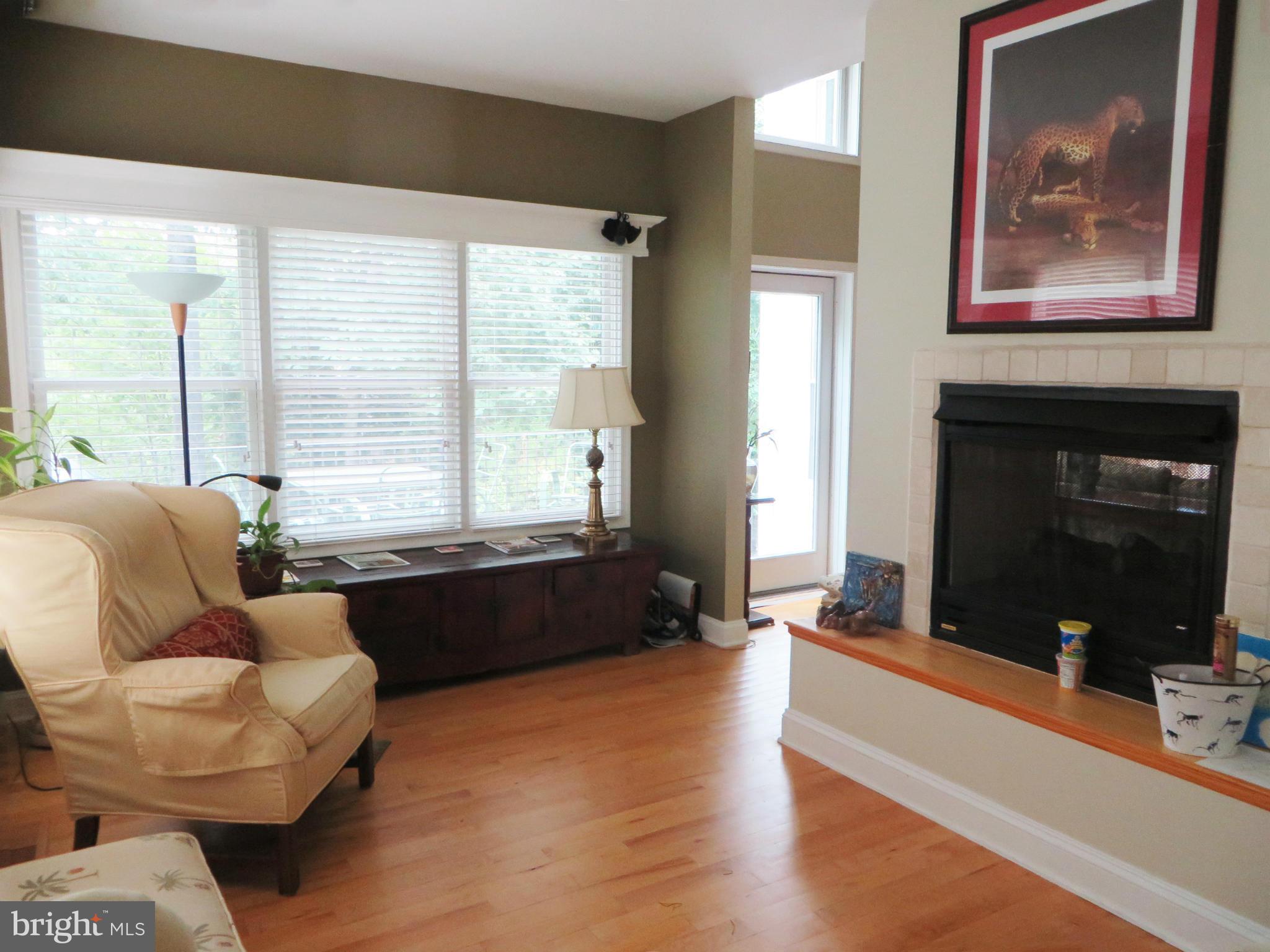 45300 Clarks Mill Road Hollywood, MD 20636 - Photo 14 of 30 Sunroom shares double-sided gas fireplace