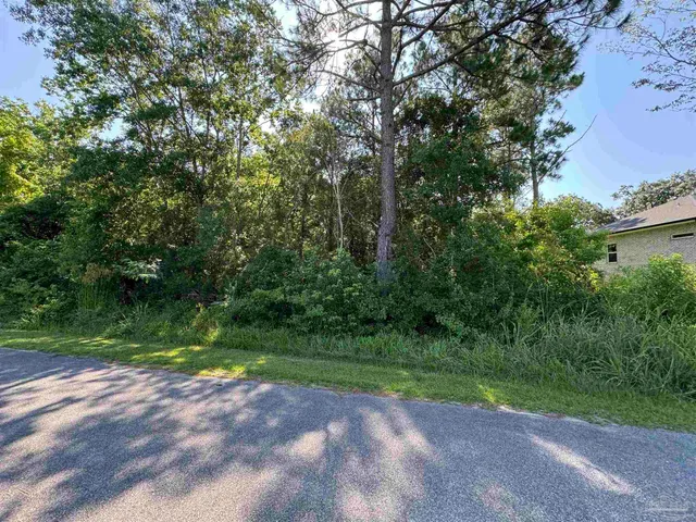 a view of a yard with a large trees