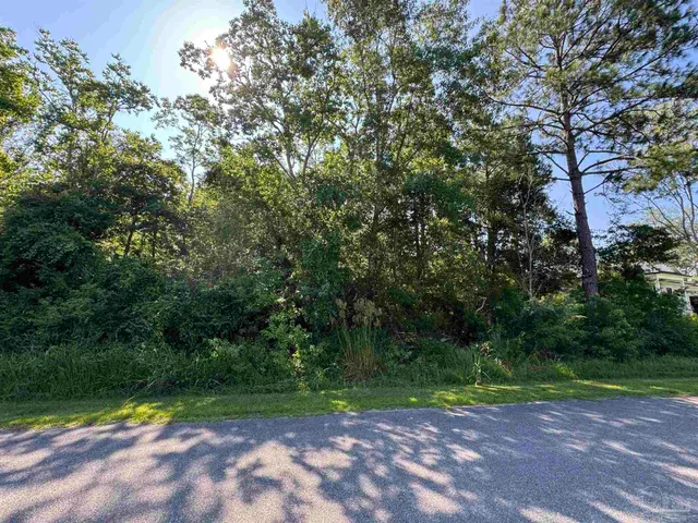 a view of a yard with a tree