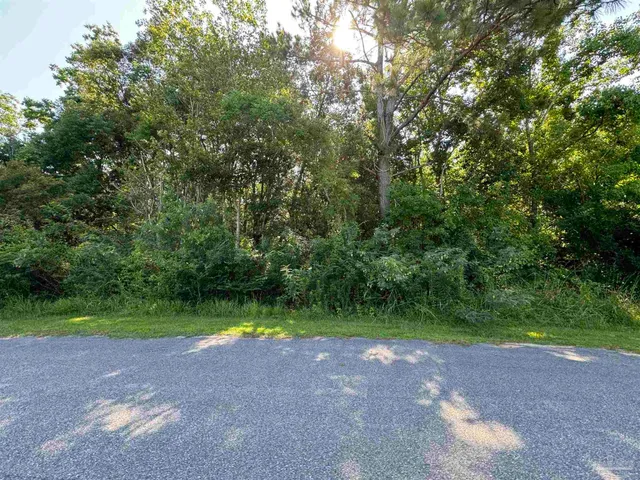 a view of outdoor space and yard