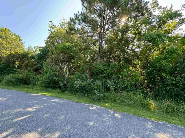 a view of a yard with a trees