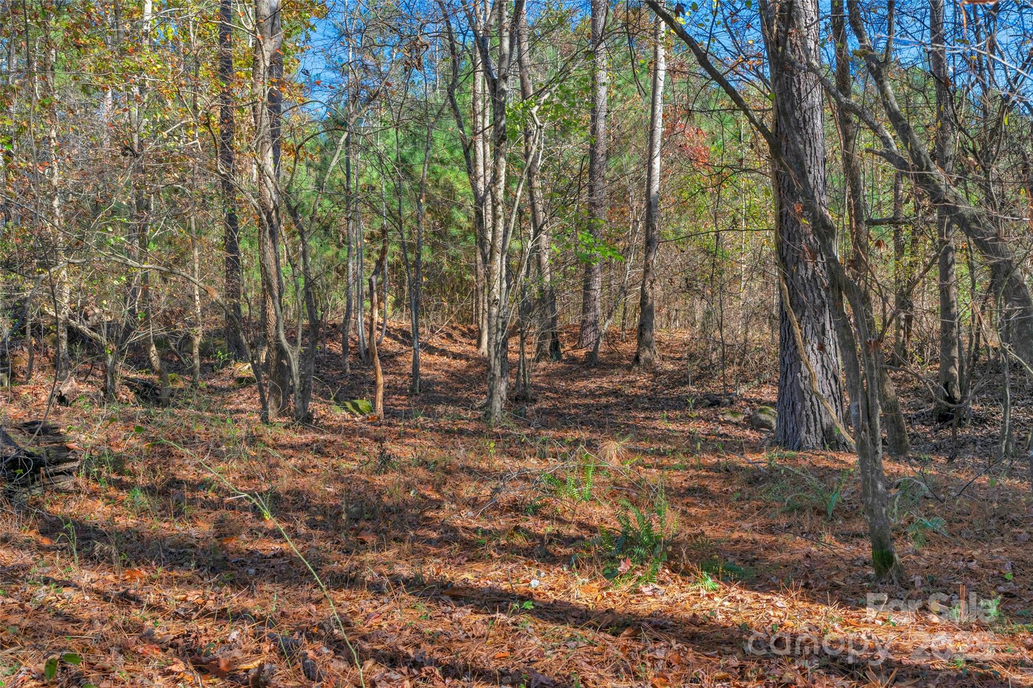 0 Beaker Road, Unit 9 Heath Springs, SC 29058 - Photo 13 of 20 Gallery Image 13