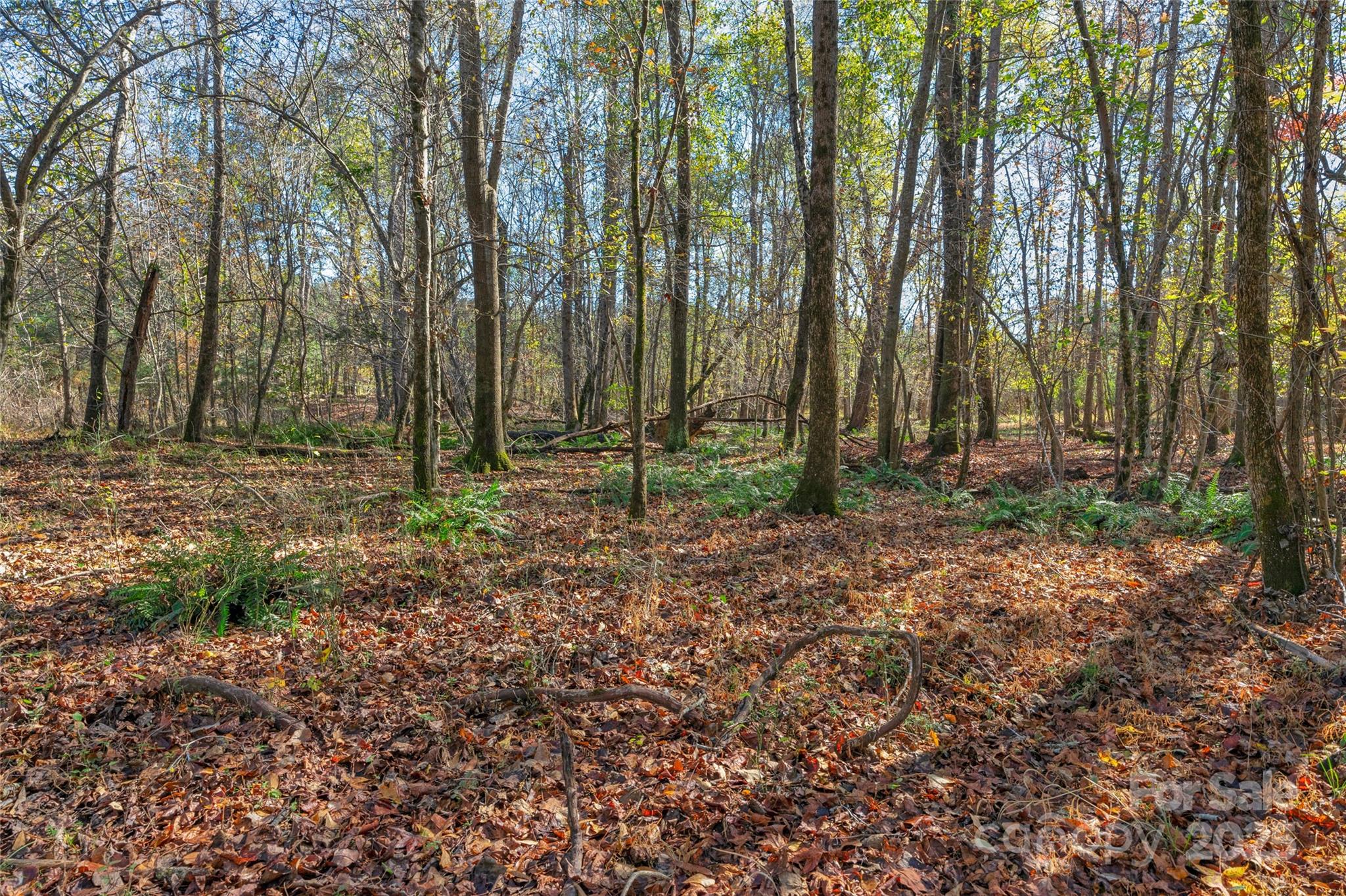 0 Beaker Road, Unit 9 Heath Springs, SC 29058 - Photo 15 of 20 Gallery Image 15