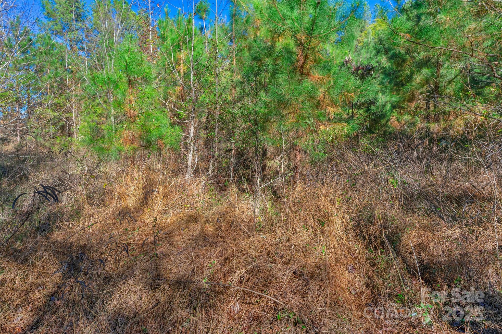 0 Beaker Road, Unit 9 Heath Springs, SC 29058 - Photo 17 of 20 Gallery Image 17
