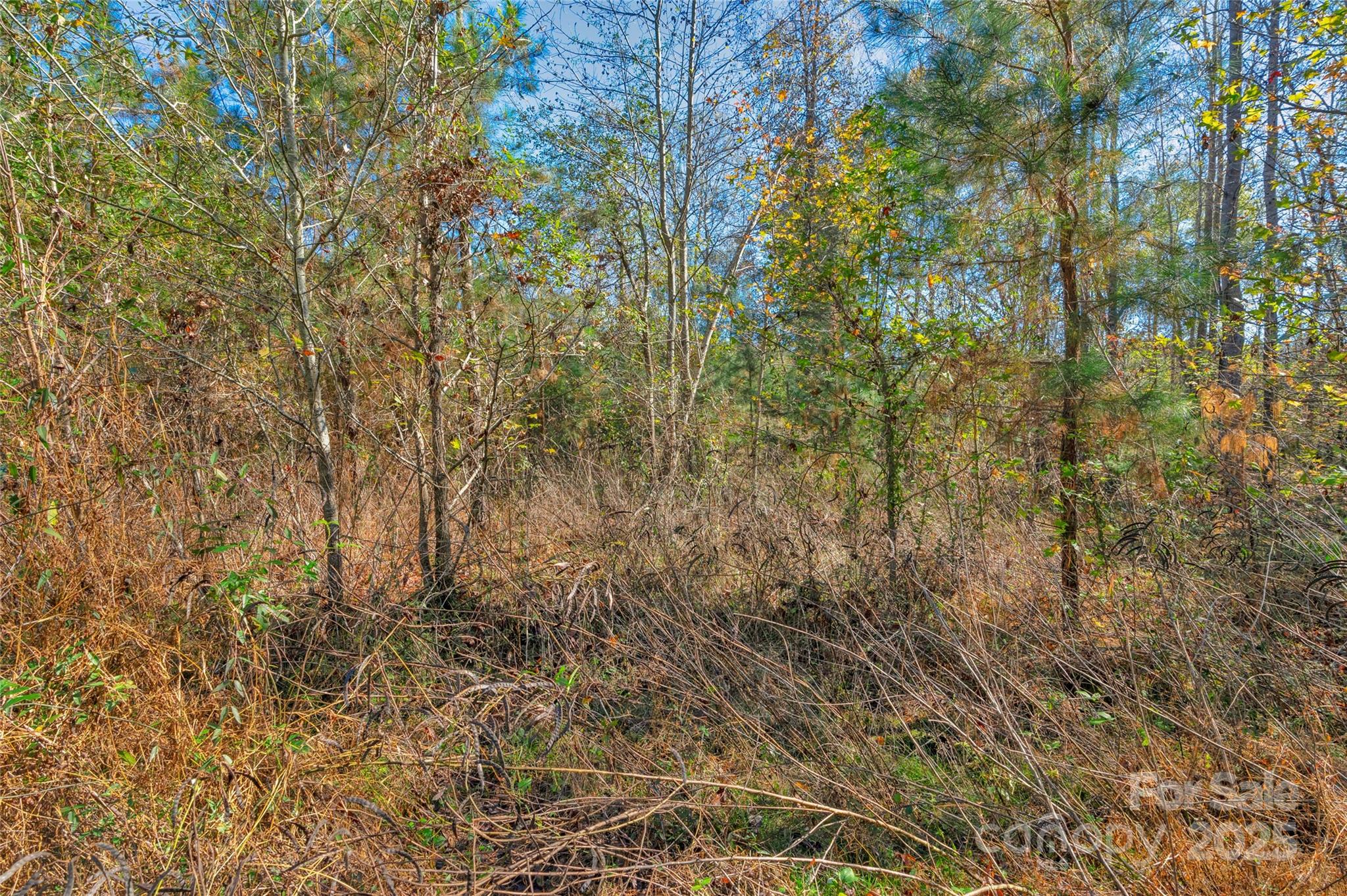 0 Beaker Road, Unit 9 Heath Springs, SC 29058 - Photo 18 of 20 Gallery Image 18