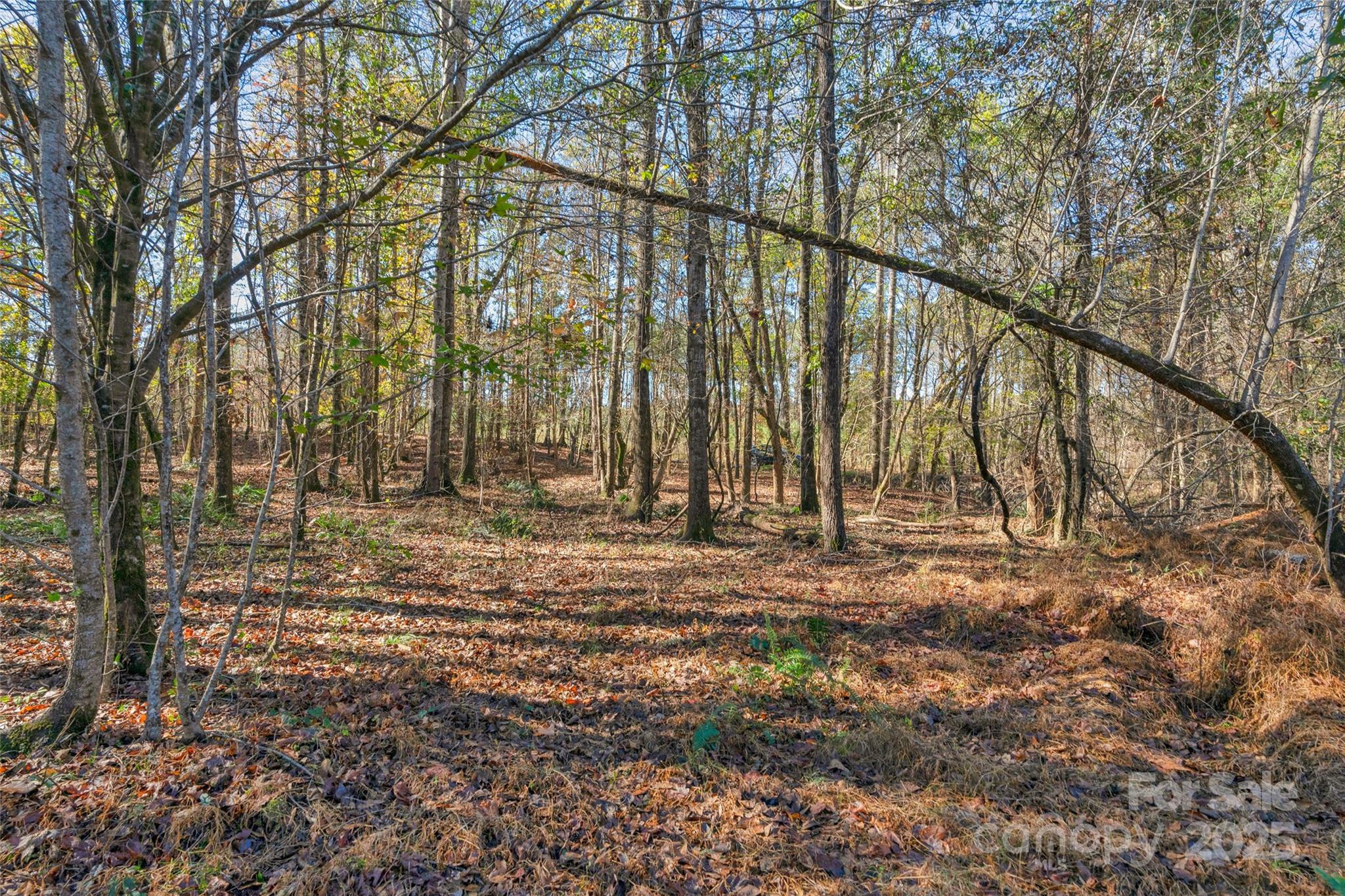 0 Beaker Road, Unit 9 Heath Springs, SC 29058 - Photo 19 of 20 Gallery Image 19