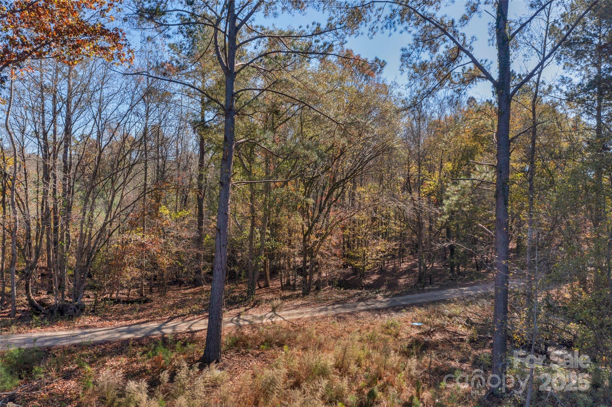 0 Beaker Road, Unit 9 Heath Springs, SC 29058 - Photo 4 of 20 Gallery Image 4