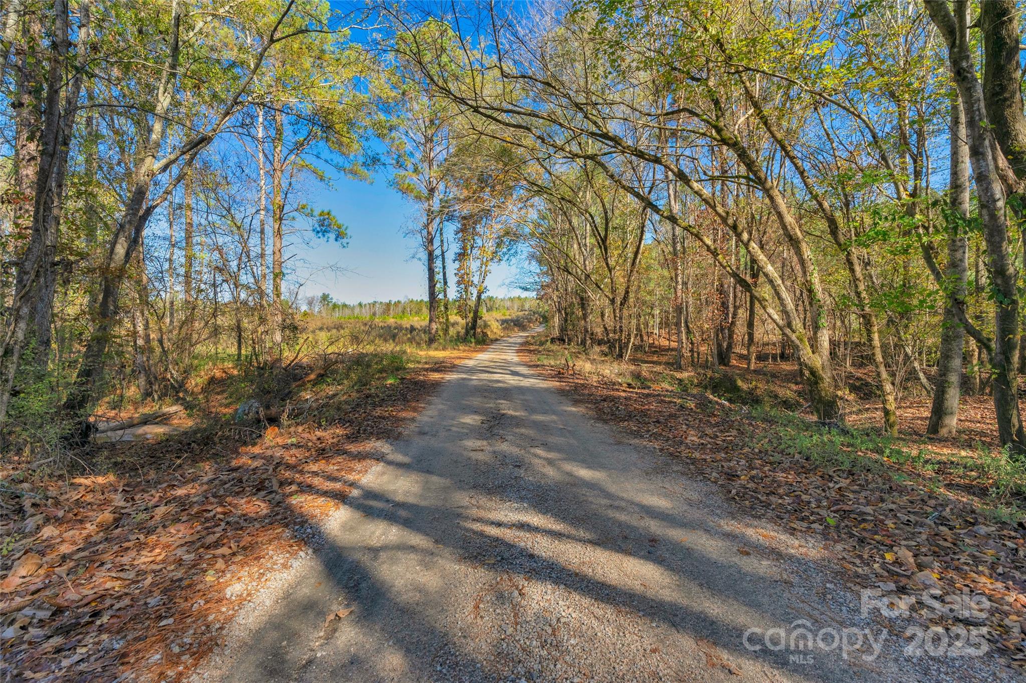 0 Beaker Road, Unit 9 Heath Springs, SC 29058 - Photo 6 of 20 Gallery Image 6