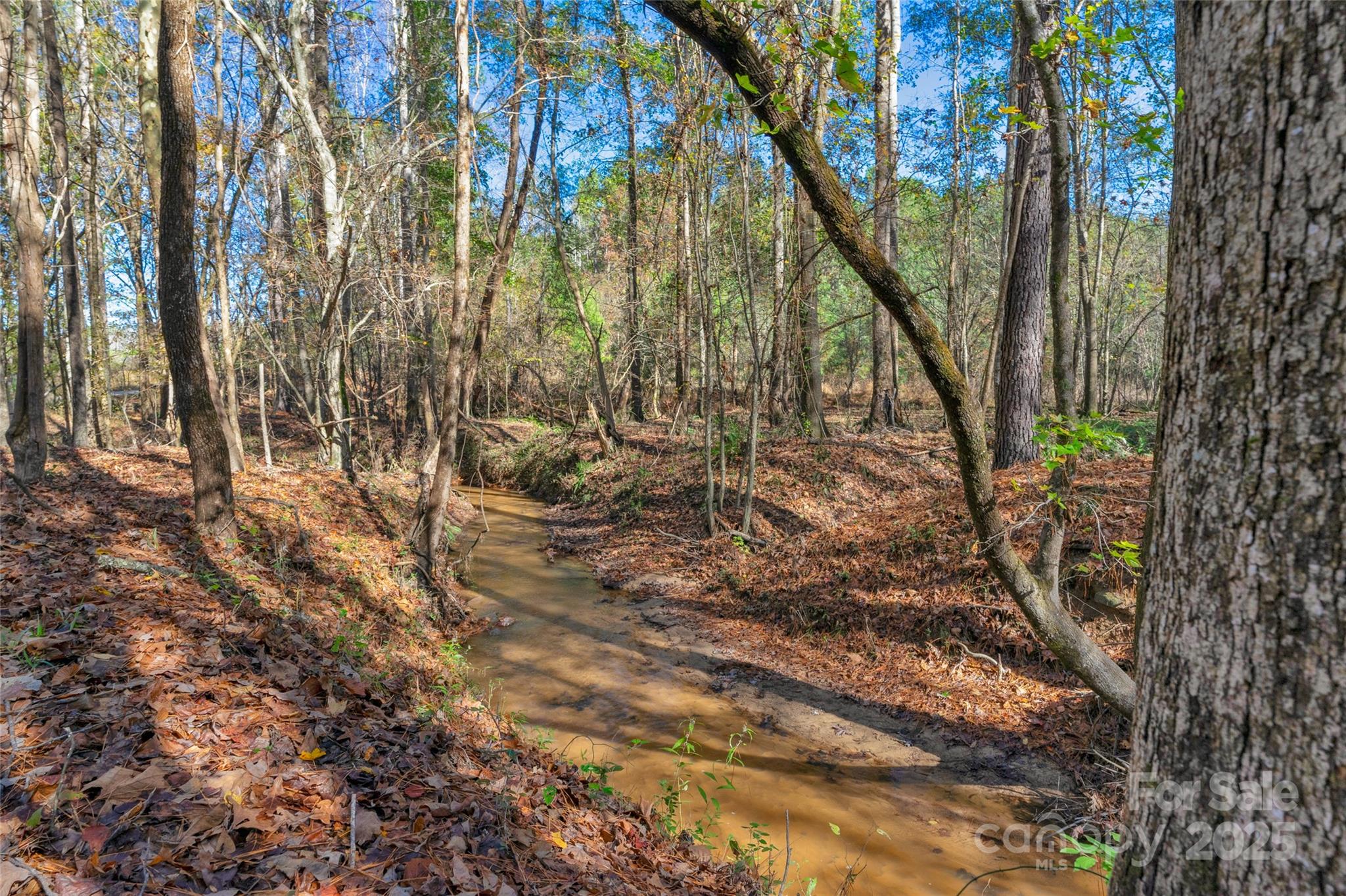 0 Beaker Road, Unit 9 Heath Springs, SC 29058 - Photo 8 of 20 Gallery Image 8