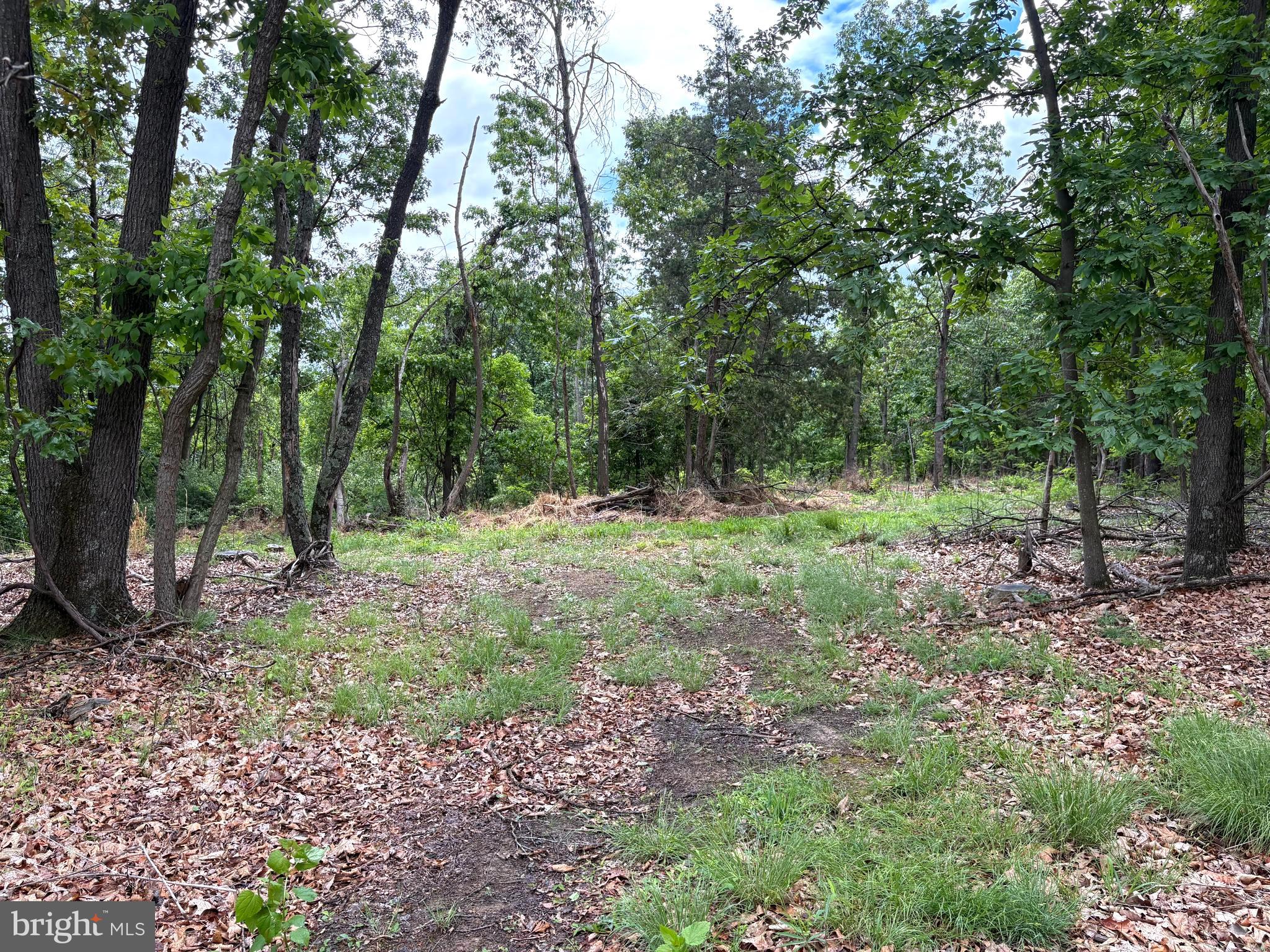 40.15-ac Middle Ridge Road Burlington, WV 26710 - Photo 1 of 47