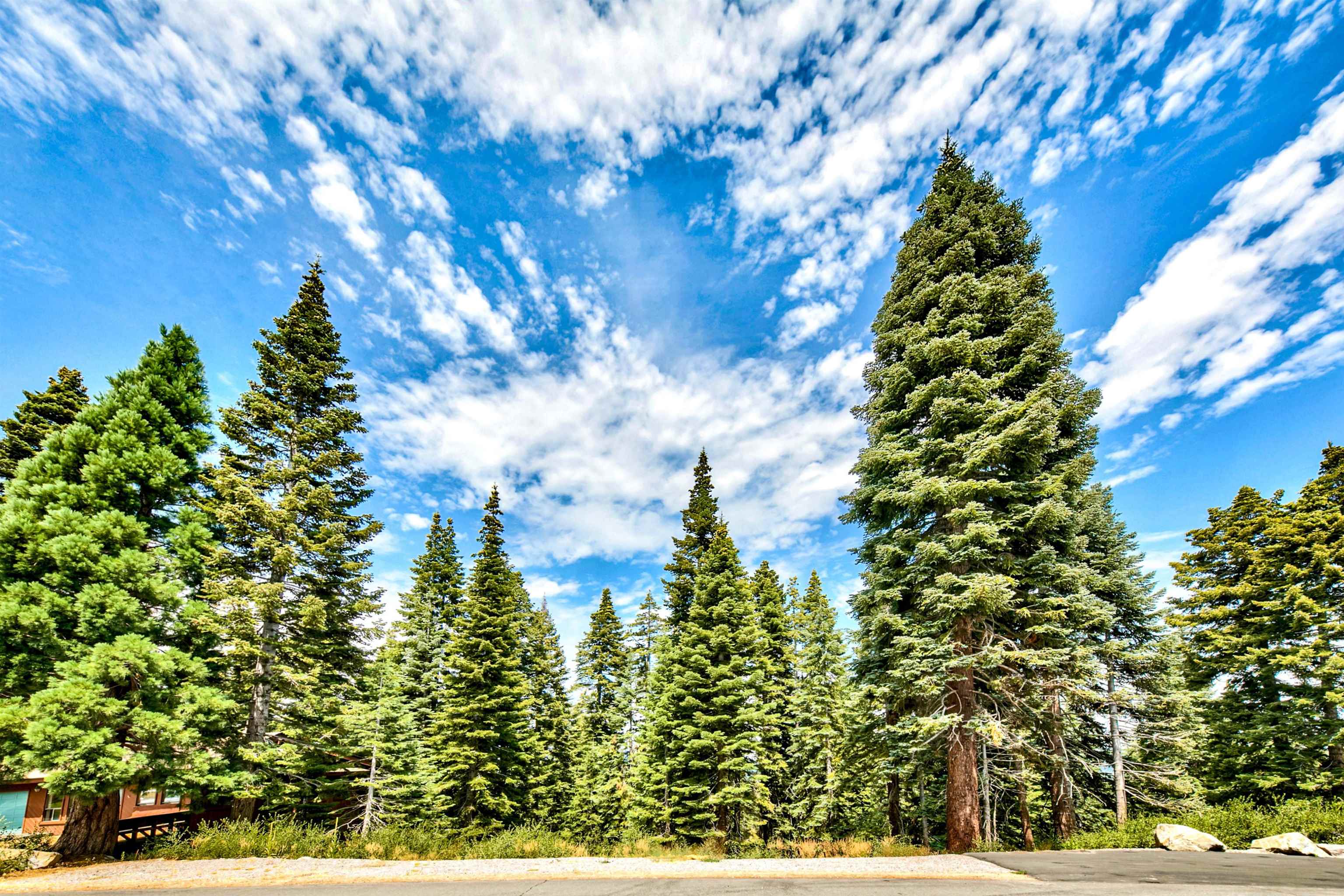 12005 Ski Slope Way Truckee, CA 96161 - Photo 1 of 21
