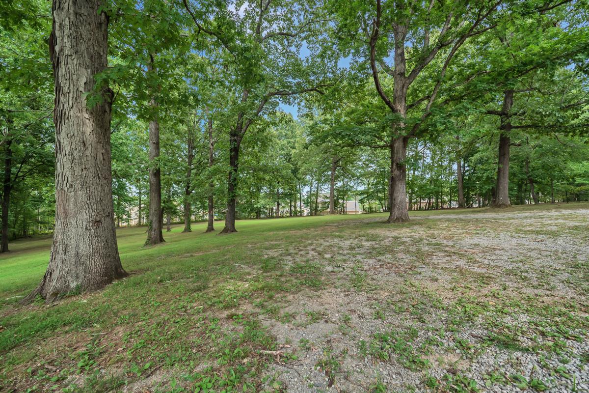 7505 Lake Road Northwest Fairview, TN 37062 - Photo 19 of 19 Gallery Image 19