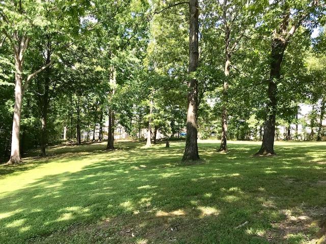 7505 Lake Road Northwest Fairview, TN 37062 - Photo 4 of 19 Gallery Image 4