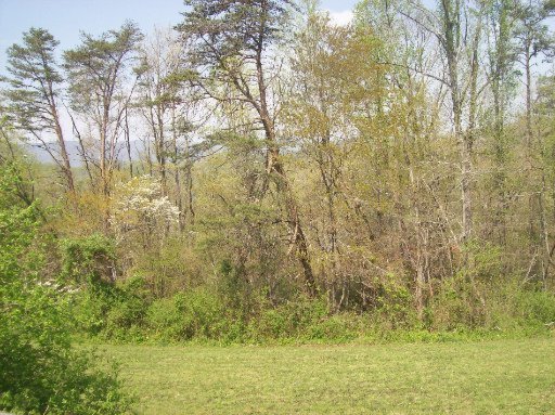719 Stephens Road Lake City, TN 37769 - Photo 14 of 36 Additional Photo