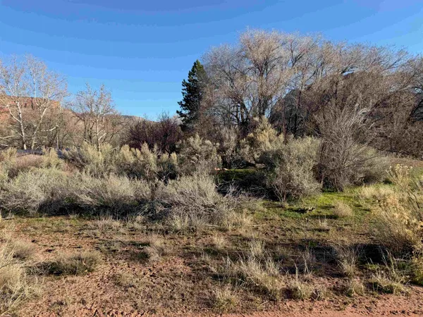 a view of a dry yard