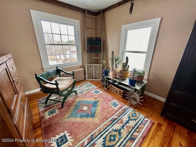 929 Finn Road Factoryville, PA 18419 - Photo 23 of 42 IMG_9737