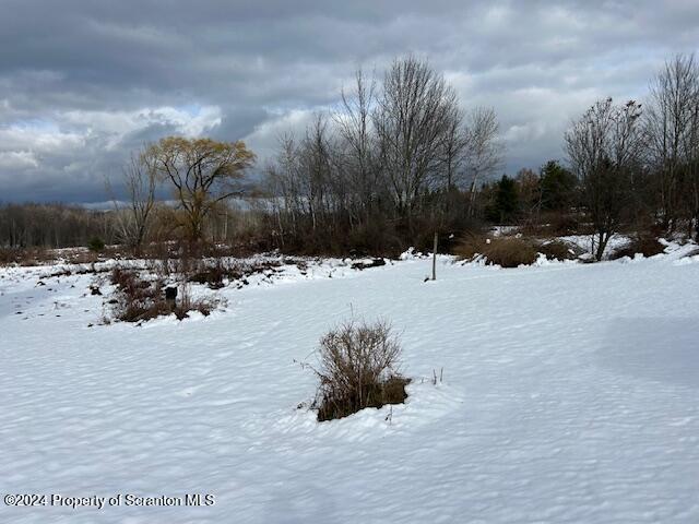 929 Finn Road Factoryville, PA 18419 - Photo 36 of 42 IMG_9762