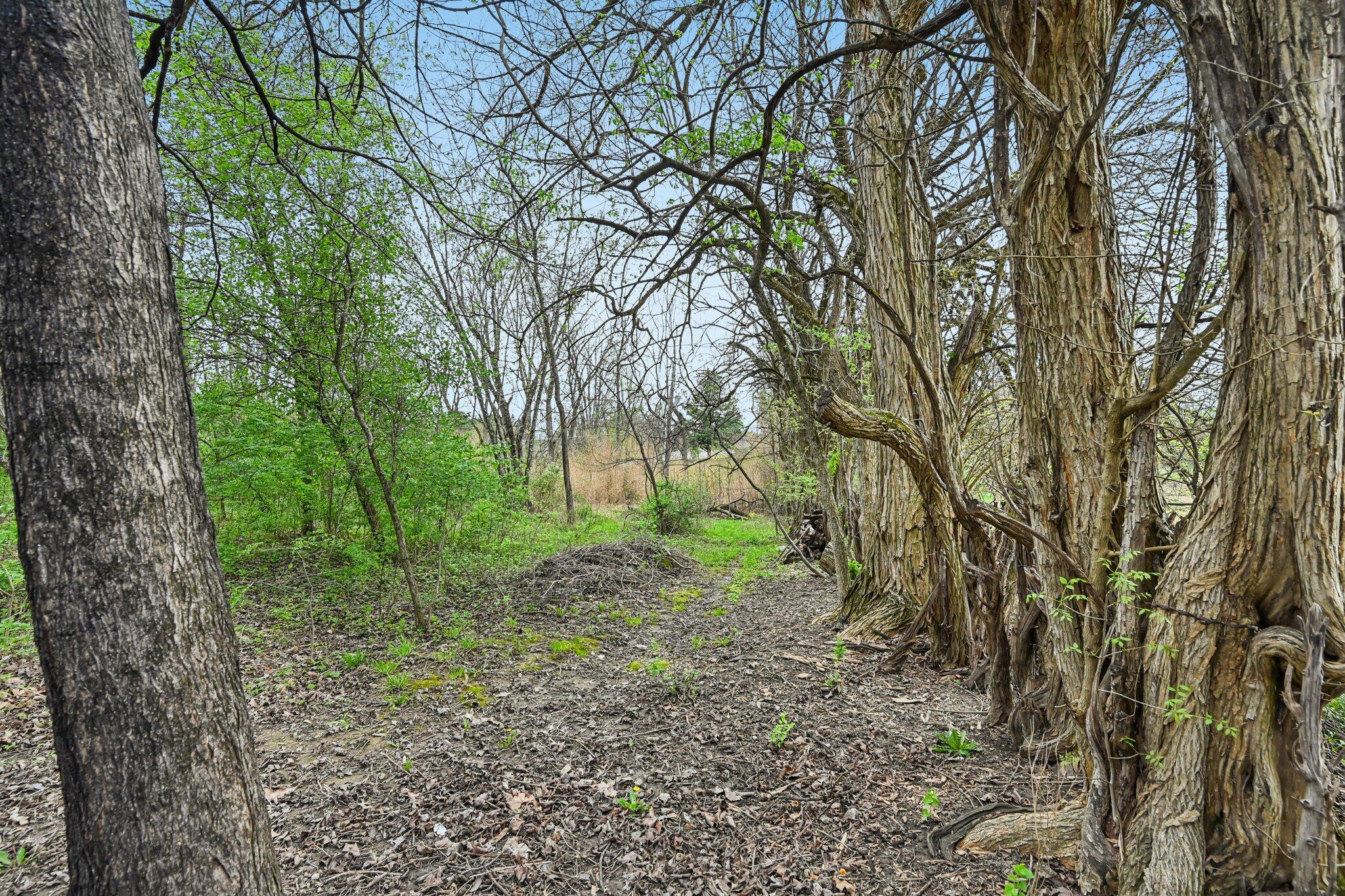12459 Saylor Road Northwest Baltimore, OH 43105 - Photo 29 of 50 35-web-or-mls-Saylor Rd-S1704-035