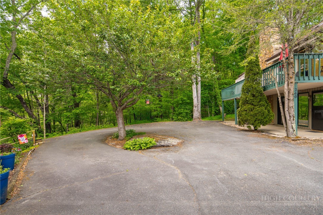 240 South Slope Road, Unit 2 Banner Elk, NC 28604 - Photo 21 of 22