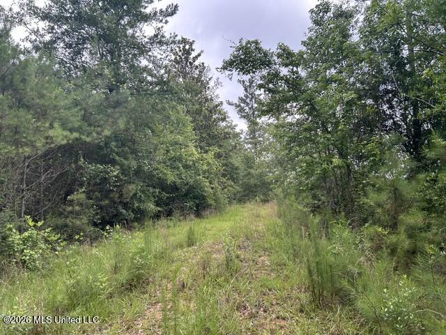 301 Freeman Road Southwest Summit, MS 39666 - Photo 5 of 43 IMG_4585