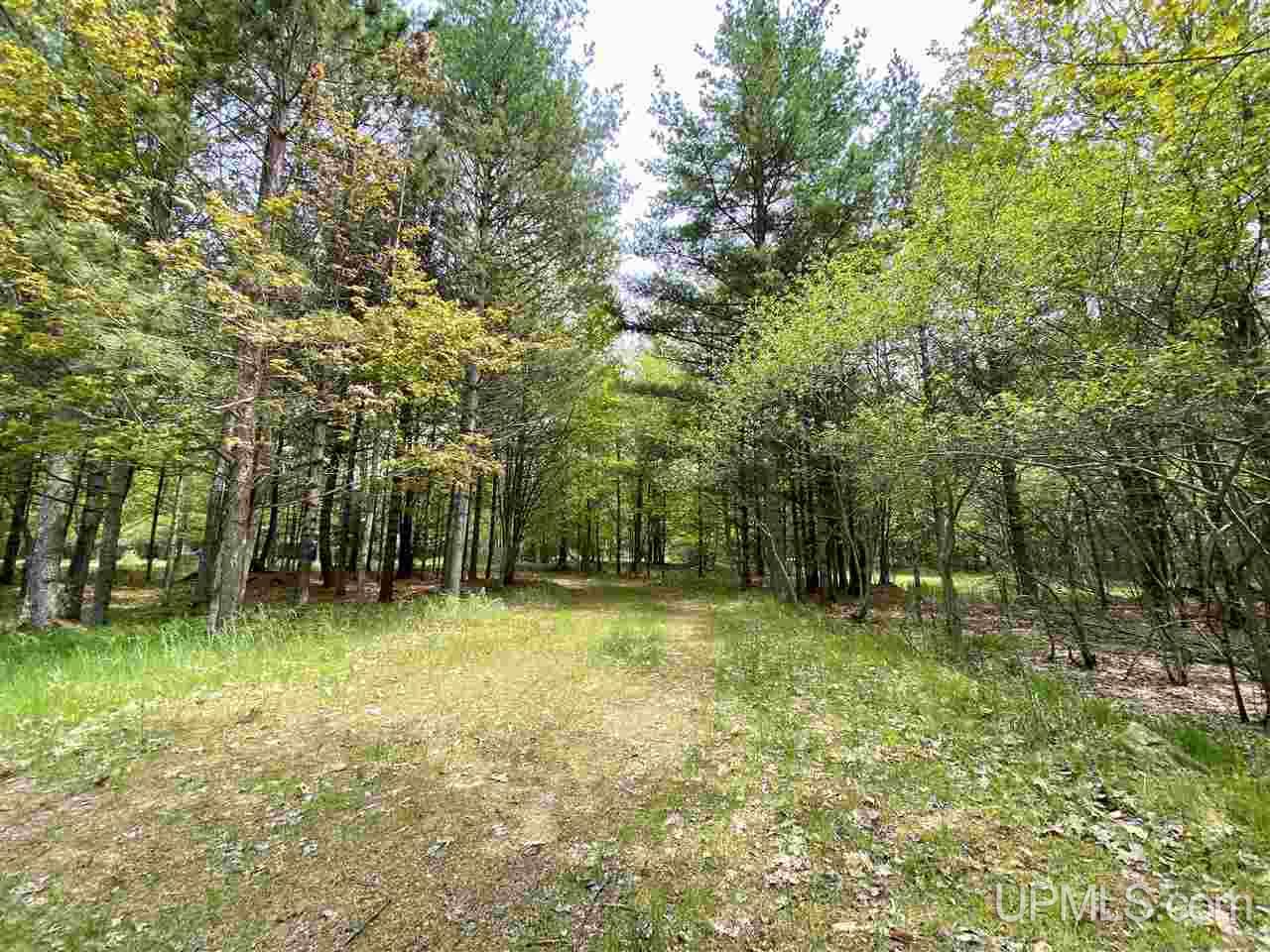 7748 R.75 Lane Rapid River, MI 49878 - Photo 24 of 27