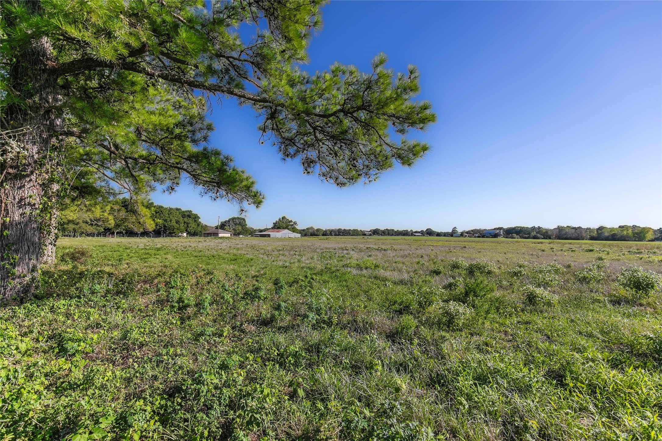 0 Nelius Road Bellville, TX 77418 - Photo 6 of 9