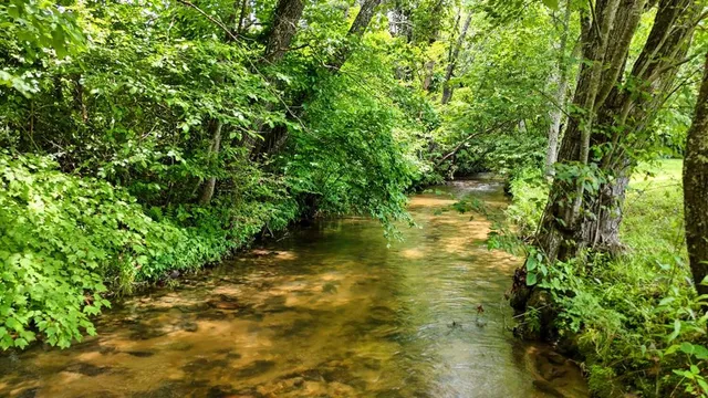 $559,999 | 162 Grandview Drive, Young Harris, GA 30582