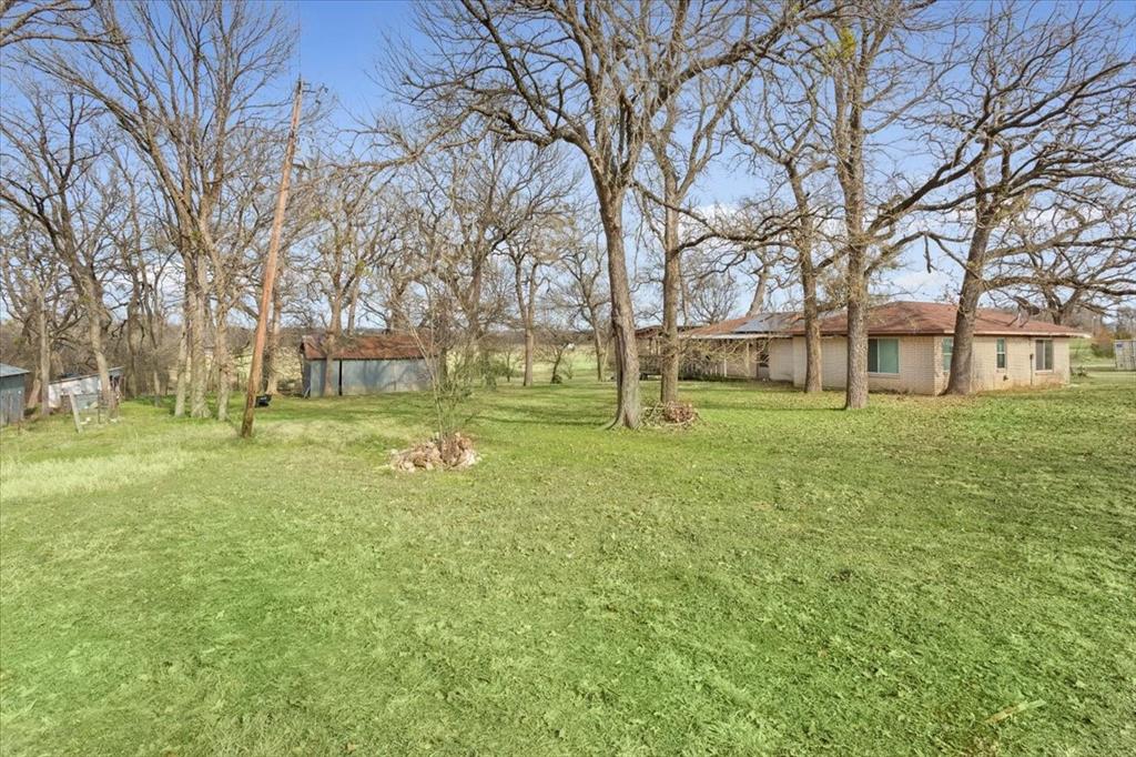 1832 West White Oak Road West, TX 76691 - Photo 27 of 30 a view of a tree in a park
