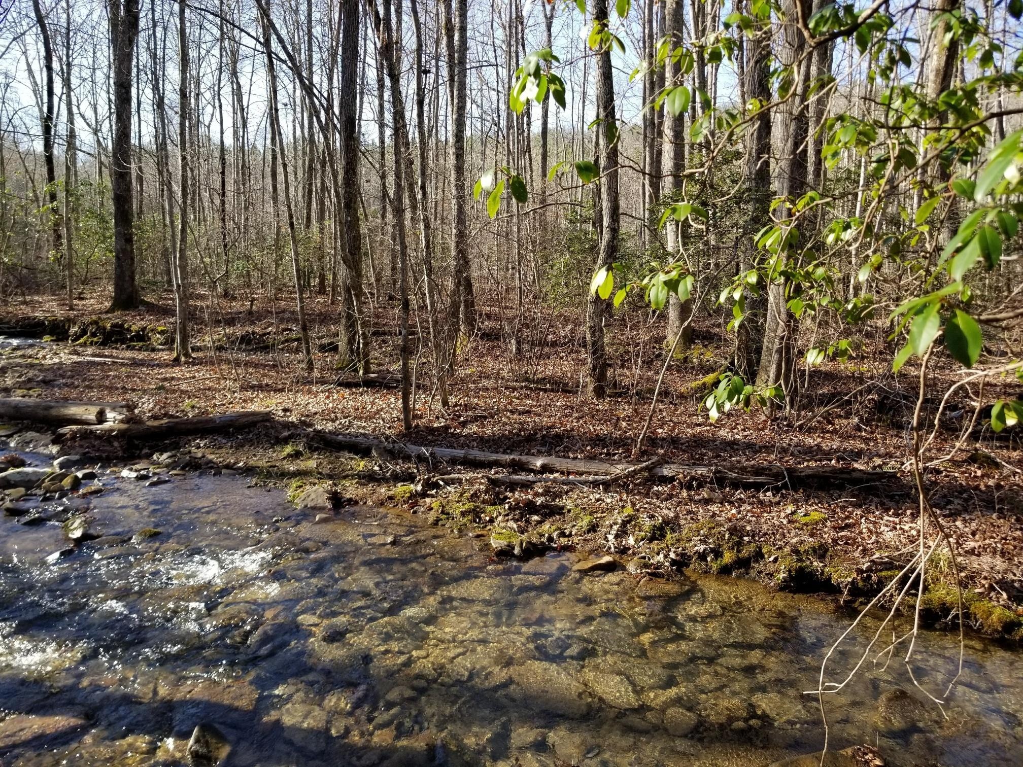 8734 Palmer Firetower Road Whitwell, TN 37397 - Photo 13 of 18 Gallery Image 13