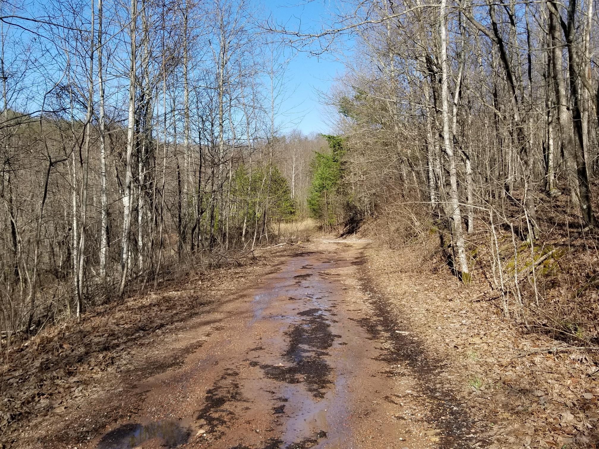 8734 Palmer Firetower Road Whitwell, TN 37397 - Photo 14 of 18 Gallery Image 14