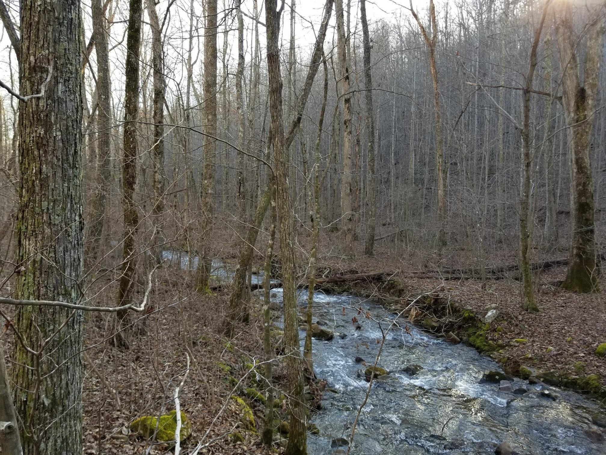 8734 Palmer Firetower Road Whitwell, TN 37397 - Photo 15 of 18 Gallery Image 15