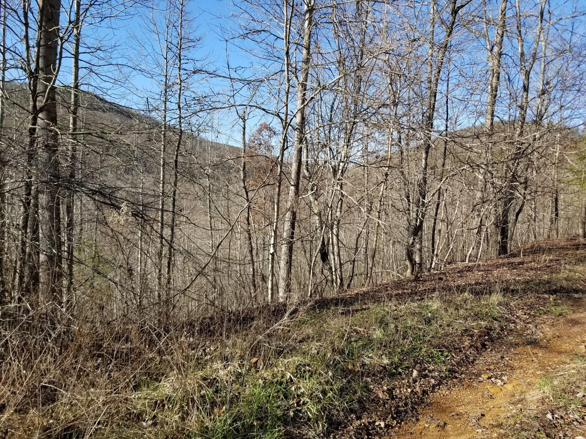 8734 Palmer Firetower Road Whitwell, TN 37397 - Photo 5 of 18 Gallery Image 5