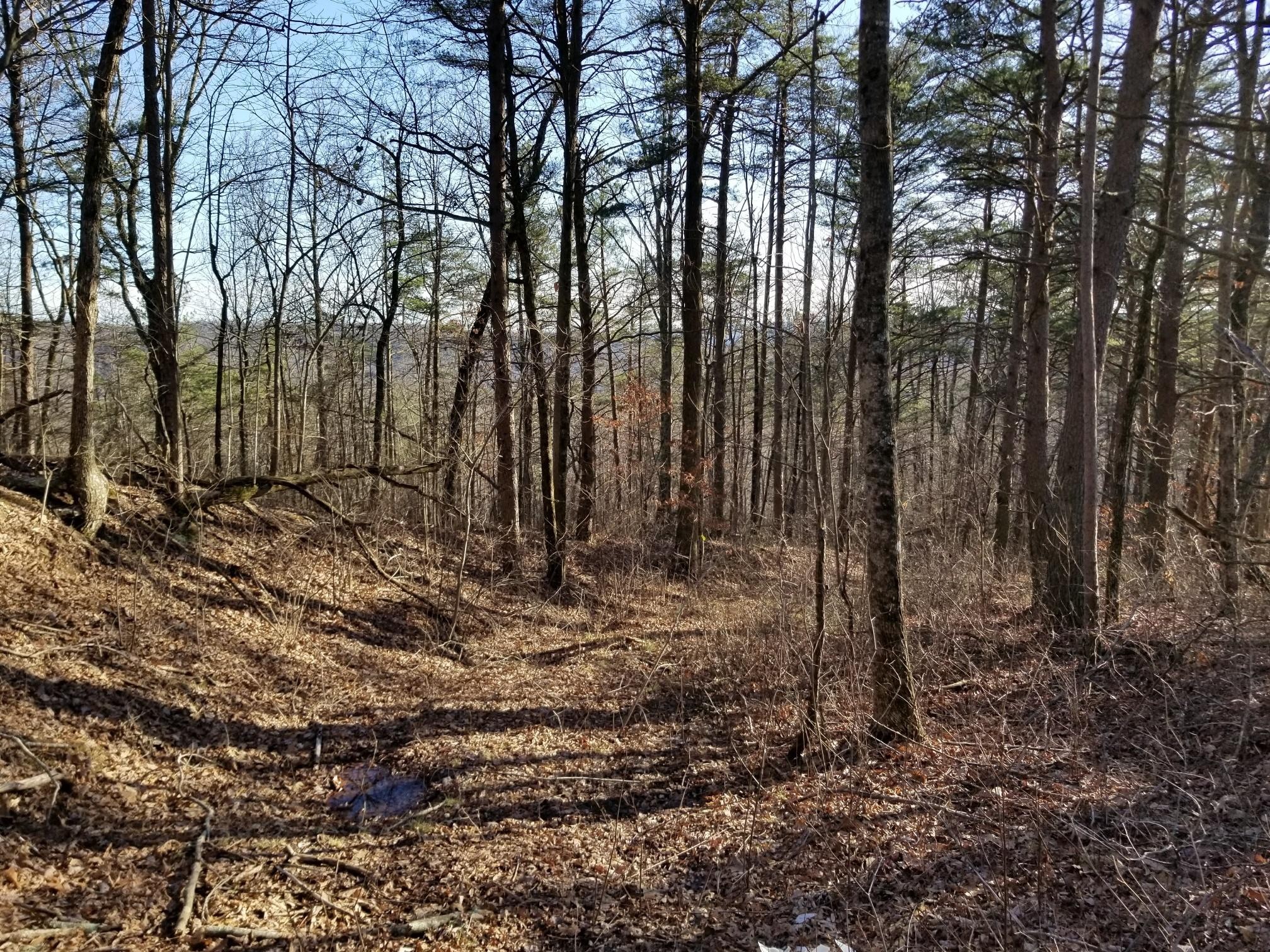 8734 Palmer Firetower Road Whitwell, TN 37397 - Photo 6 of 18 Gallery Image 6