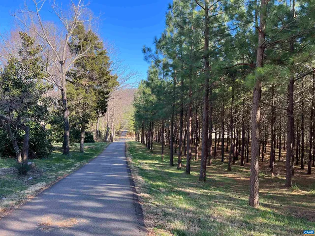 a park view with large trees