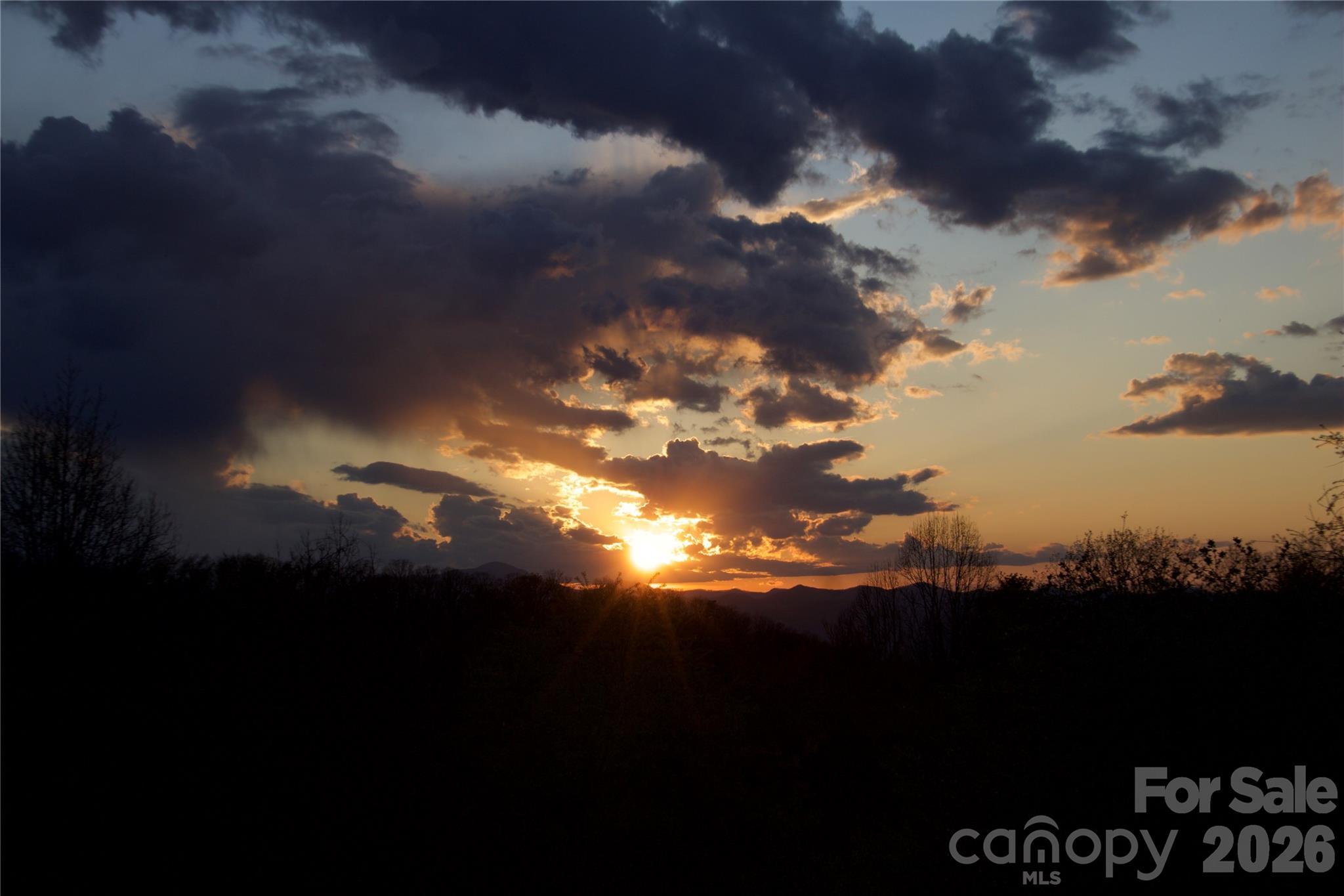 751 Hutch Mountain Road Fletcher, NC 28732 - Photo 48 of 48