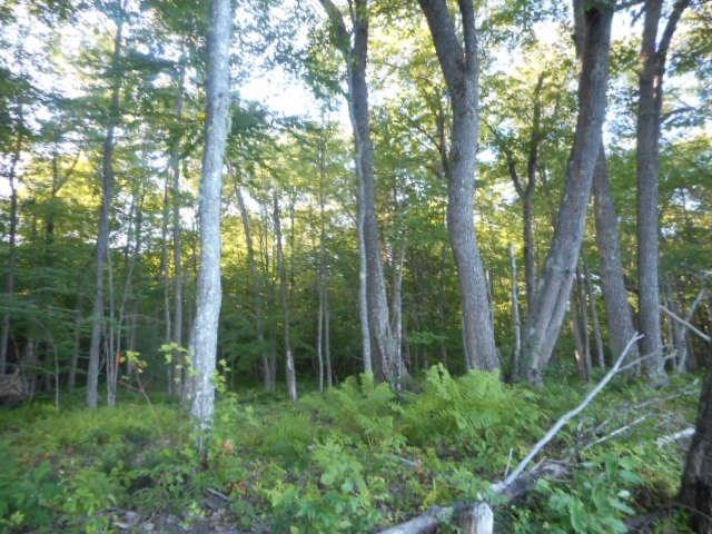 R3-18 Mattmiscontis Road Howland, ME 04448 - Photo 13 of 22 Photo