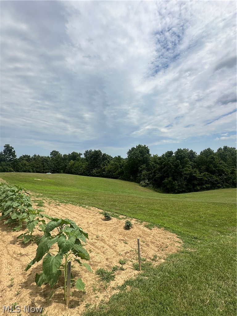 9685 Dozer Ridge Road Blue Rock, OH 43720 - Photo 13 of 25 View of yard