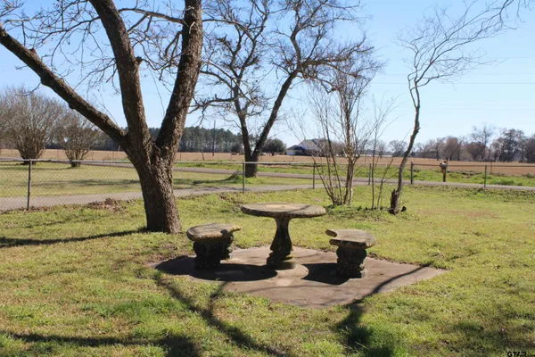 a view of a park with large trees
