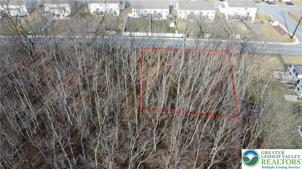 a view of backyard with wooden fence